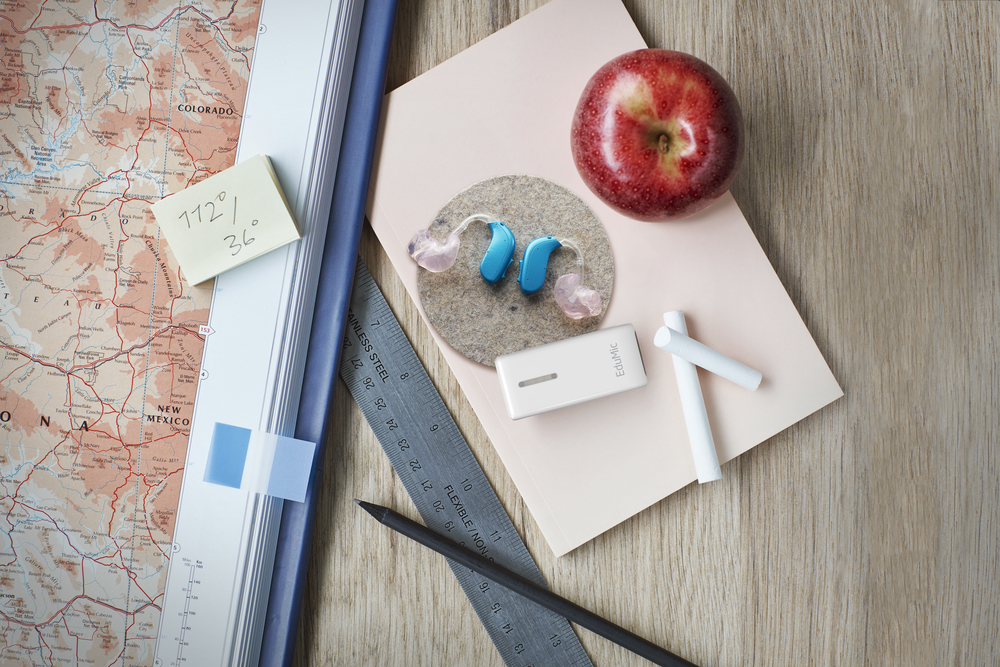 EduMic - immagine 3